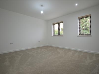 Picture 30